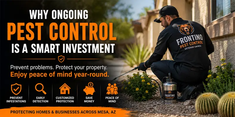 5 Reasons Ongoing Pest Control is Better Than One-Time Treatments Phoenix AZ