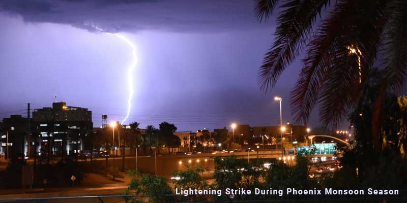 How to Keep Your Home Safe From Pests During a Storm Phoenix AZ