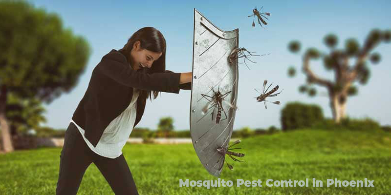 Mosquito Pest Control in Phoenix AZ