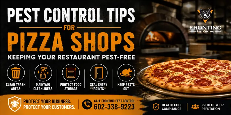 Pest Control Tips For Pizza Shops: How to Keep Your Restaurant Pest Free Phoenix AZ