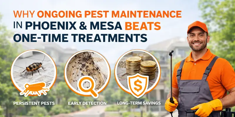 Why Regular Pest Maintenance is Better Than One-Shot Treatments Phoenix AZ